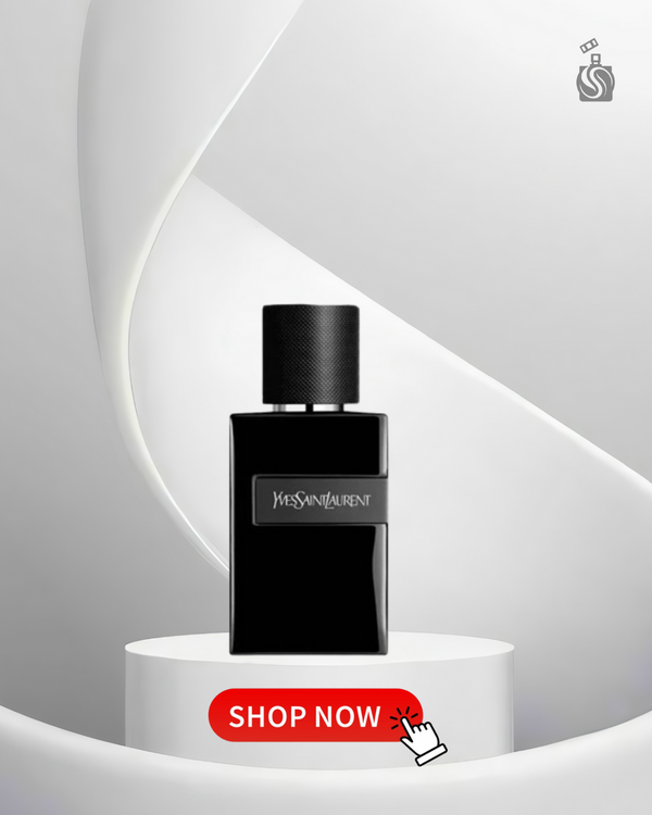 YSL Le Parfum – Oasis Perfumes